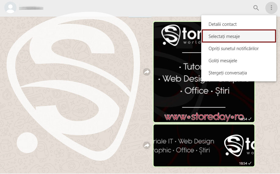 Whatsapp Web Selectare Mesaj Storeday Romania Informatica Iasi