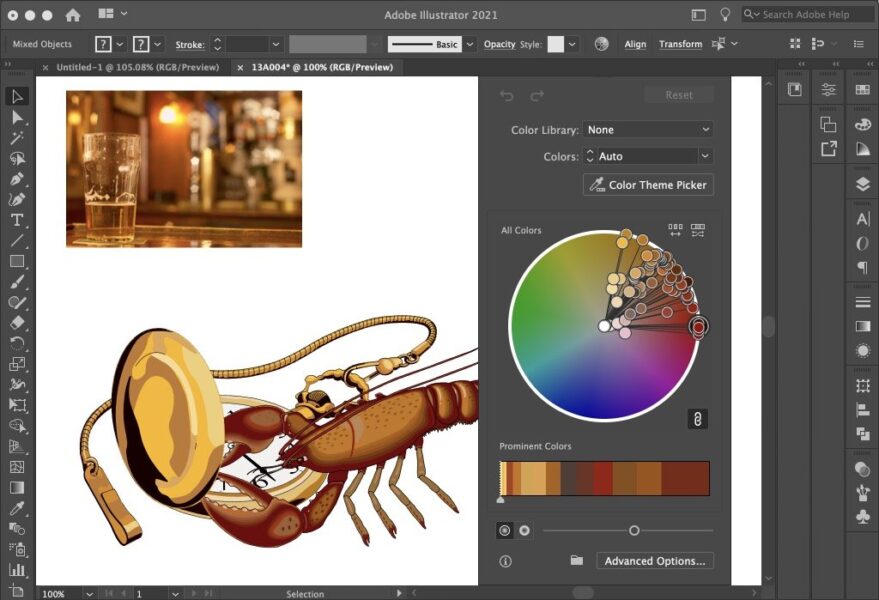 Adobe Illustrator iPad